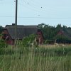 Tour 13: Darß - 2